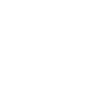 Combat Soap logo